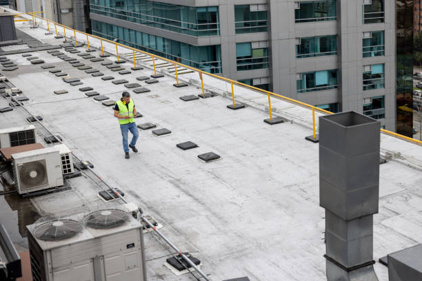 Best Roof Maintenance and Cleaning  in Wlow Springs, IL