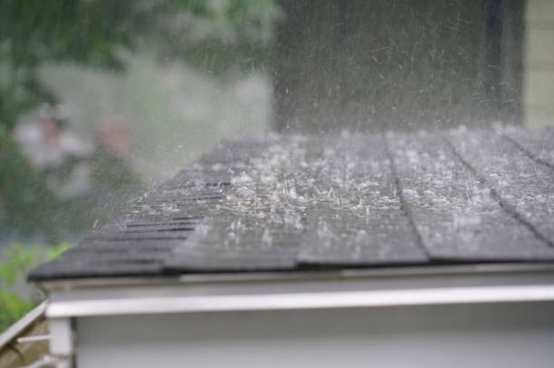 Best Metal Roofing Installation  in Wlow Springs, IL